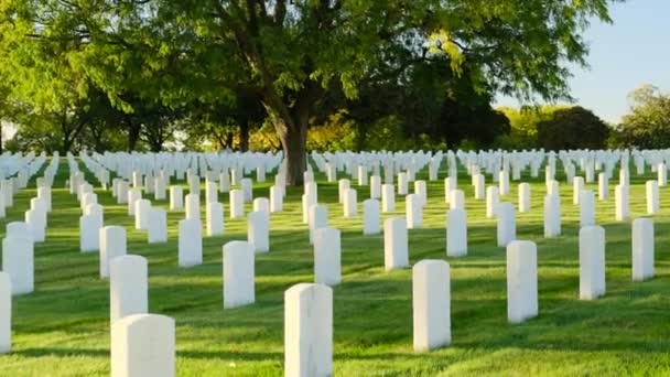 묘지에서 기념일 무덤에 기념일에 명예와 애국의 — 비디오