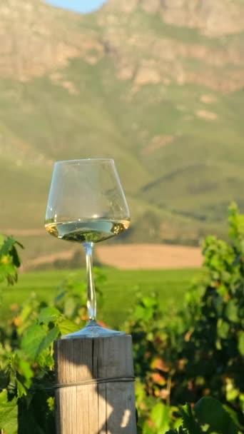 一杯白葡萄酒倒立在一座葡萄园里 在高山的衬托下收获 红葡萄酒瓶和玻璃杯放在木桶上 农业酿酒厂和品酒概念 — 图库视频影像