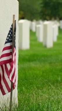 Sunset 'te Amerikan bayrakları. Mezarlıktaki anma günü anısına mezar taşlarında bayraklar var. Ulusal Mezarlıkta küçük Amerikan bayrakları ve mezar taşları Anma Günü sergisi.
