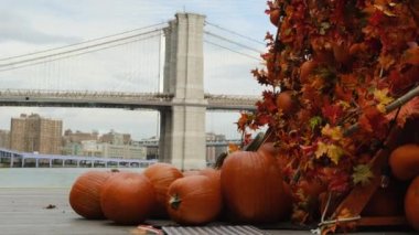 Cadılar Bayramı dekorasyon konsepti. Cadılar Bayramı partisi ve Jack O Lantern Usa. seçmeler konsepti. Cadılar Bayramı partisi ve New York Brooklyn Köprüsü 'nde Jack O Fenerleri