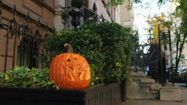 Halloween Dhalloween Dekorationer Koncept Halloweenfest Och Jack Lanterns Usa Koncept — Stockvideo