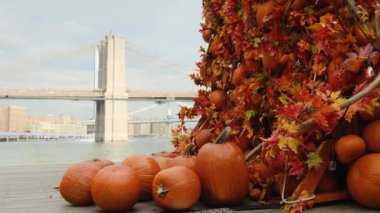 Cadılar Bayramı dekorasyon konsepti. Cadılar Bayramı partisi ve Jack O Lantern Usa. seçmeler konsepti. Cadılar Bayramı partisi ve New York Brooklyn Köprüsü 'nde Jack O Fenerleri