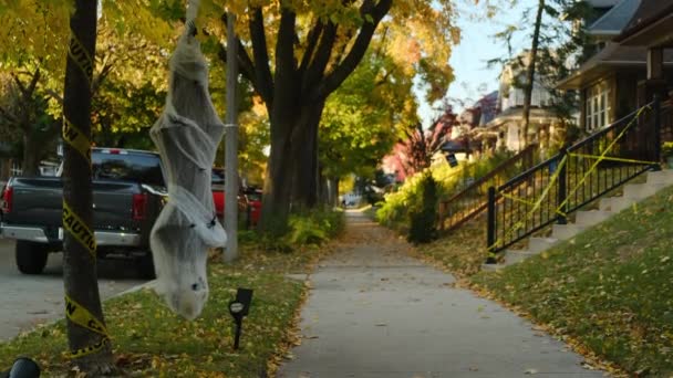 Esqueleto Envolto Teias Aranha Penduradas Numa Árvore Assustador Assustador Halloween — Vídeo de Stock