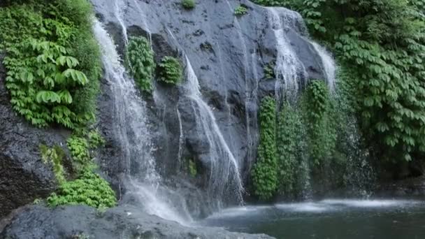 Nungnung Waterfall Bali Indonesien Vandfald Med Kraftig Strøm Bali Scenic – Stock-video