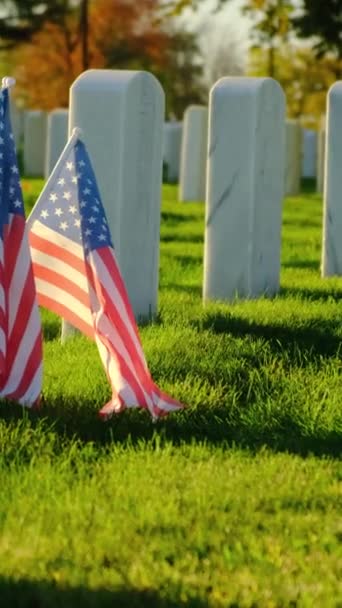 Amerikai Zászlók Mezeje Sunseten Zászlók Sírköveken Temető Emléknapjára Kis Amerikai — Stock videók