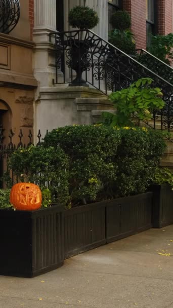 Halloween Dhalloween Dekoration Konzept Halloween Party Und Jack Lanterns Usa — Stockvideo
