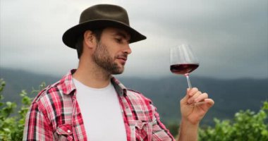 Üzüm bağı tarlasında elinde kırmızı şarap kadehi tutan bir adam. Bir bardak şarapla. Şaraphane turunda şarap tatma turu. Üzüm bağında elinde bir kadeh kırmızı şarap tutan bir adam.