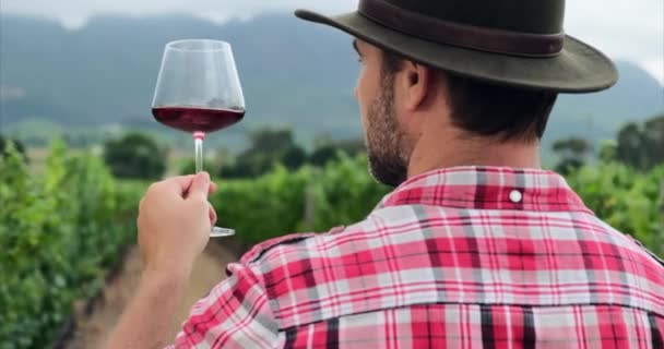 ブドウ畑で赤ワインの男の手を保持ガラス ワインを片手に 屋外ワイナリーレストラン旅行ツアーでワインの試飲 ブドウ畑で赤ワインを飲みながら — ストック動画