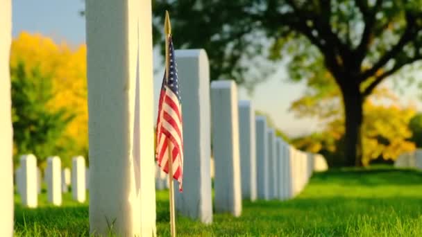 Πεδίο Αμερικανικών Σημαιών Στο Σάνσετ Σημαίες Ταφόπλακες Για Μνημόσυνο Νεκροταφείο — Αρχείο Βίντεο