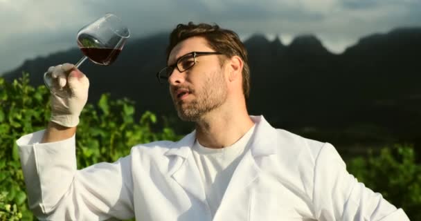 穿着白色外套的实验室技术人员在葡萄园里喷洒昆虫 酿酒师手里拿着一串葡萄和一个装有新鲜榨葡萄汁的试管进行分析 — 图库视频影像