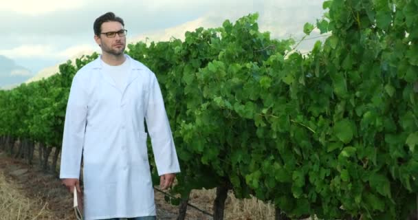 Technicien Laboratoire Blouse Blanche Saupoudre Des Insectes Dans Vignoble Vigneron — Video