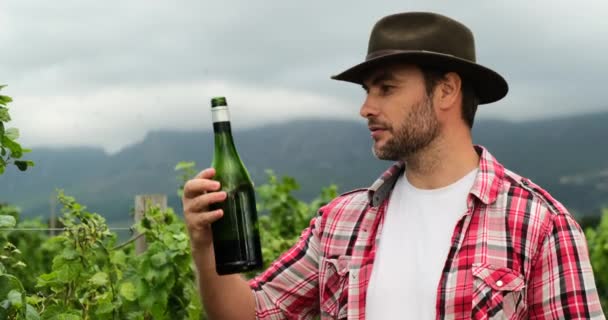 Een Mannelijke Boer Een Geruit Hemd Een Wijnmakerij Met Een — Stockvideo