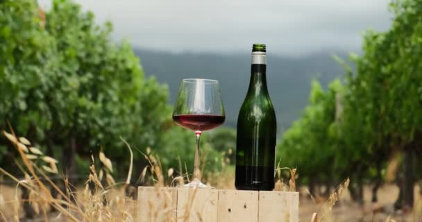 水晶般清澈的酒杯的低角度近视 一杯红酒和一瓶葡萄酒矗立在一片葡萄地里的木板条箱上 酒的种类 酒杯和酒瓶中的酒 — 图库视频影像