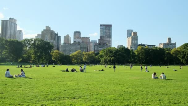 Central Park Autunno Edifici Riflettono Nel Centro Manhattan New York — Video Stock