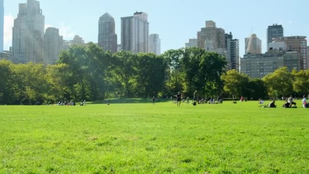 Central Park Automne Reflet Des Bâtiments Dans Centre Ville Manhattan — Video