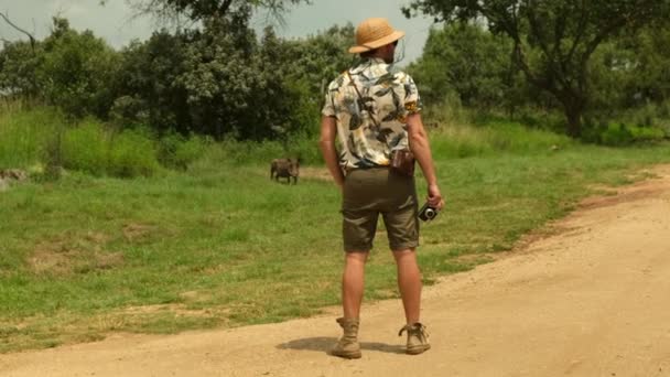 Erkek Gezgin Elinde Kamerayla Vahşi Domuzların Yanında Duruyor — Stok video