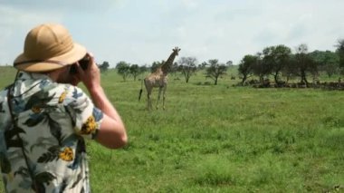 Afrika 'da zürafalarla safariye çıkan kameralı erkek turist. Savanada otları yiyen büyük bir zürafa sürüsü. Safari elbiseli bir adam vahşi hayvanların fotoğraflarını çekiyor.