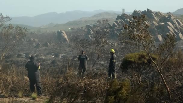 Kapsztad Południowa Afryka Pożar Lasu Wściekłe Pożary Lasów Pali Suchą — Wideo stockowe