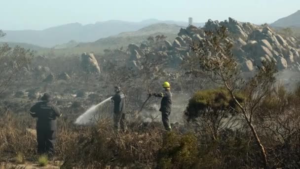 南非开普敦 森林大火 森林春季大火肆虐 燃烧干枯的草地 沿着湖面上的芦苇 草地上的草在燃烧 愤怒和烟雾摧毁了所有的生命 消防队员扑灭大火 — 图库视频影像