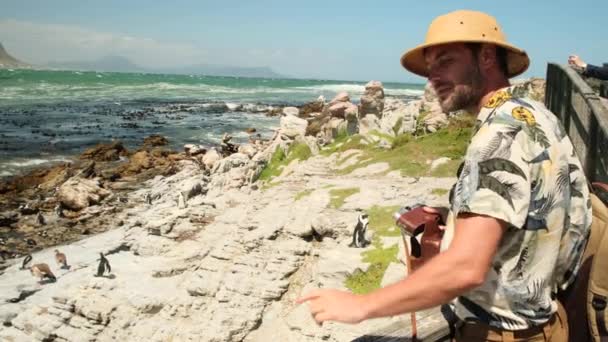 카메라와 사파리 모자에 여행자는 펭귄의 무리의 사진을 찍습니다 해변에 아프리카 — 비디오