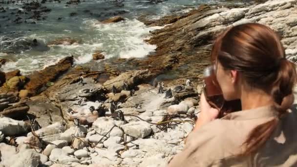Kvinnlig Resenär Safarihatt Med Kamera Tar Ett Foto Flock Pingviner — Stockvideo