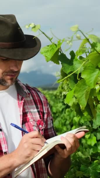 農業主義者は農場で栽培されているブドウ作物を検査する 認知できないフィールドワーカーのアグロノミストが健康をチェック グレープ 表現とジェスチャーを与えるノートブックを備えた農業野菜農家 — ストック動画