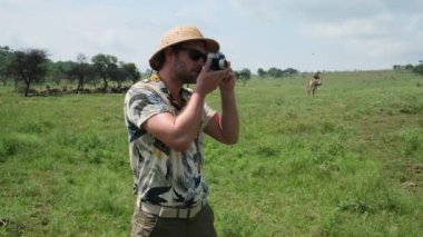 Afrika 'da zürafalarla safariye çıkan kameralı erkek turist. Savanada otları yiyen büyük bir zürafa sürüsü. Safari elbiseli bir adam vahşi hayvanların fotoğraflarını çekiyor.