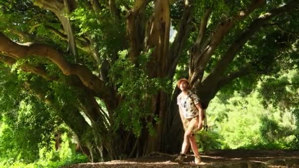 Viajero Con Mochilas Relajándose Selva Verde Disfrutando Vista Cascada Turista — Vídeos de Stock