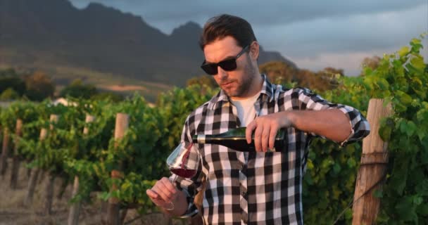 Homme Tenant Main Verre Vin Rouge Dans Domaine Viticole Main — Video