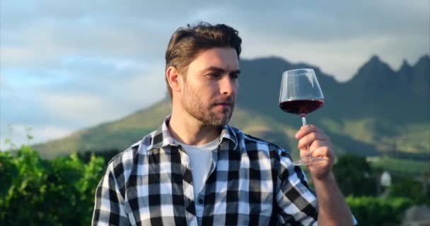 Üzüm Bağı Tarlasında Elinde Kırmızı Şarap Kadehi Tutan Bir Adam — Stok video