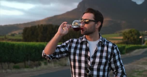 Seorang Pria Memegang Gelas Anggur Merah Kebun Anggur Tangan Dengan — Stok Video