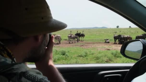 头戴狩猎帽的人从水牛群的车上拍照 旅行的摄影师在旅行期间拍照 站在沙漠中观看野生动物的人类旅行者和摄影师 — 图库视频影像