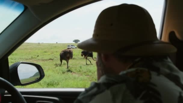 Muž Cestovatel Safari Klobouku Fotí Vozidla Pro Pštrosy Cestující Fotograf — Stock video