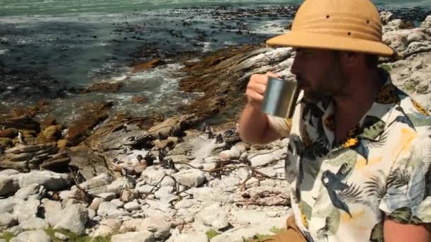 一位戴着狩猎帽的男性旅行者在一群企鹅附近的海面上喝着杯子里的水 非洲企鹅在沙滩上 博尔德斯殖民地开普敦 露营者饮水 — 图库视频影像
