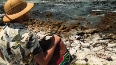 Kumlu sahildeki Afrika pengueni. Kaya kolonisi. Cape Town 'da. Güney Afrika. Güney Afrika 'da seyahat ederken okyanus kıyısındaki penguen sürüsüne bakan bir erkek turist.
