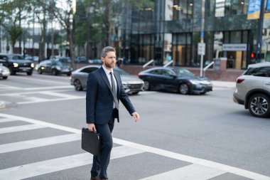 Sırt çantalı bir iş adamı şehirde yürüyor. Şık takım elbiseli erkek girişimcinin yan görünüşü ve sabah işe giderken yaya geçidinde yürürken içkiyle birlikte yürümesi. Sokaktaki iş adamı