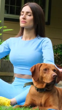 Spor kıyafetleriyle çalışan, yoga egzersizi yapan, aşağıya bakan bir köpek gibi duran güzel bir genç kadın. Spor kızı sokakta meditasyon yapıyor, yanında güzel bir köpek oturuyor.