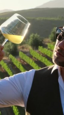 Winemaker in vineyard with glass of wine. stylish man in a white shirt is testing a new sort of white wine from a glass. Authentic shot of successful male is tasting a flavor and checking red wine