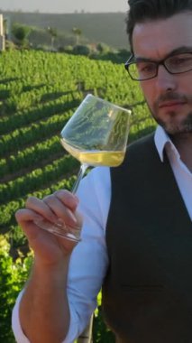 İnsan eliyle tutulan bir bardak beyaz şarap. Tadına bakıp içmeden önce kırmızı şarap kokusu. Şık giyinmiş, elinde şarap kadehi olan yakışıklı, neşeli genç bir adamın portresi. Dikey şarabın keyfini çıkarıyor.