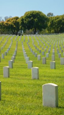 2. Dünya Savaşı Amerikan askeri mezarlığı. Yazın Amerikan gazi mezarlığı. Los Angeles Ulusal Mezarlığı 'nda Anma Günü. ABD Savaş Ölüleri Anma Günü