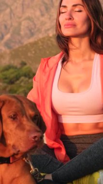 Güzel bir gün batımında kumsalda ince bir kadının silueti yoga nefes alma teknikleri pratiği. Spor kıyafetli bir kız kumsalda bir köpeğin yanında oturup meditasyon yapıyor.