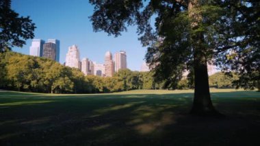 Central Park 'ta sonbahar. ABD, New York Eyaleti, New York Şehri, Manhattan ufuk çizgisi ve Central Park ön planda. Amerika 'nın en ünlü yerleri..