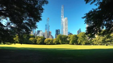 Central Park 'ta sonbahar. ABD, New York Eyaleti, New York Şehri, Manhattan ufuk çizgisi ve Central Park ön planda. Amerika 'nın en ünlü yerleri..