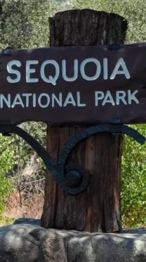 Dev sekoya ağaçları, Sequoia ve Kings Canyon Ulusal Parkları, Kaliforniya, ABD. Sequoia Ulusal Parkı 'nda dev bir ağaç var. Kaliforniya yakınlarındaki Muir Woods Ulusal Anıtı 'nda Redwood' dan geçen patika, ABD
