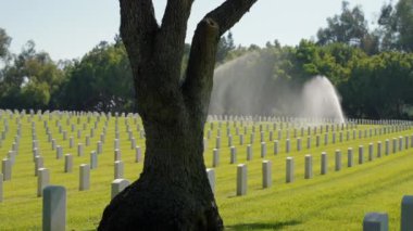 2. Dünya Savaşı Amerikan askeri mezarlığı. Yazın Amerikan gazi mezarlığı. Los Angeles Ulusal Mezarlığı 'nda Anma Günü. ABD Savaş Ölüleri Anma Günü