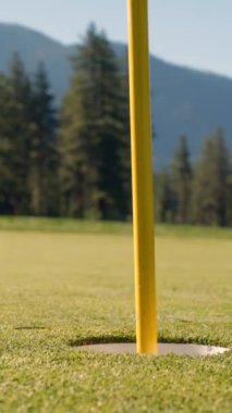 Golf sopası ve top çimlerde. Golf topu yeşilde. Top bardakta. Yeşil çimlerin üzerinde golf sopası ve topunun yakın çekimi gün batımında sakin bir golf sahasının özünü yakalıyor.