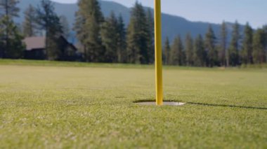 Golf sopası ve top çimlerde. Golf topu yeşilde. Top bardakta. Yeşil çimlerin üzerinde golf sopası ve topunun yakın çekimi gün batımında sakin bir golf sahasının özünü yakalıyor.