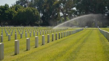 Amerikan savaş mezarlığı anma günü. Sunny Day 'in altında mavi gökyüzüyle ABD Bayrakları. Amerikan savaş mezarlığı, çiçeklerle süslenmiş, askerlere dokunaklı bir övgü yansıtıyor.