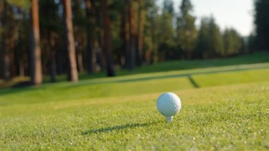 Yeşil sahadaki beyaz golf topu fotokopi uzayı ile aydınlık bir günde bulanık golf sahasında çekilecek. Spor, eğlence sektörü. Golf topu ve golf sopası yeşil çimlerin üzerinde.
