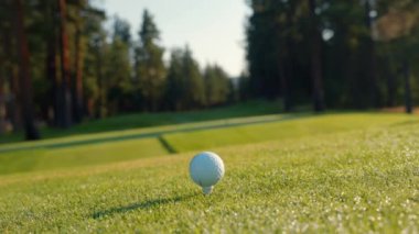 Yeşil sahadaki beyaz golf topu fotokopi uzayı ile aydınlık bir günde bulanık golf sahasında çekilecek. Spor, eğlence sektörü. Golf topu ve golf sopası yeşil çimlerin üzerinde.
